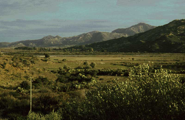 n_11  Antioco Berge 1.jpg